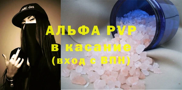 сатива Армянск