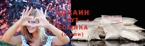сатива Армянск