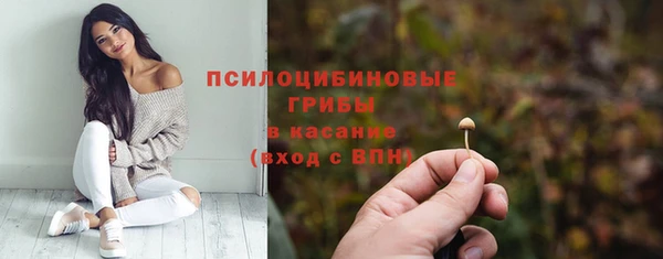 сатива Армянск