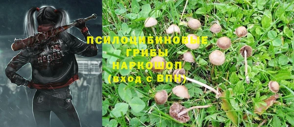 сатива Армянск
