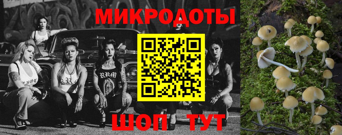 Каспийск  Псилоцибиновые грибы GOLDEN TEACHER  Вход с VPN 